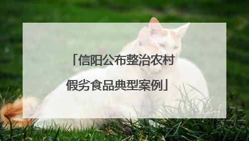 信阳公布整治农村假劣食品典型案例