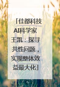 佳都科技AI科学家王凯：探寻共性问题，实现整体效益最大化
