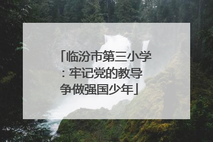 临汾市第三小学：牢记党的教导 争做强国少年
