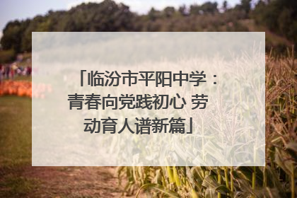 临汾市平阳中学：青春向党践初心 劳动育人谱新篇