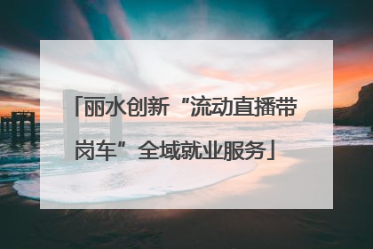 丽水创新“流动直播带岗车”全域就业服务