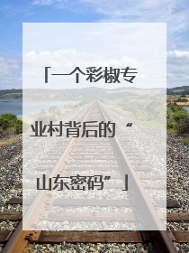 一个彩椒专业村背后的“山东密码”