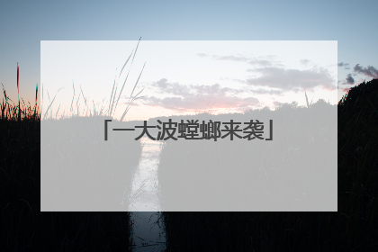 一大波螳螂来袭
