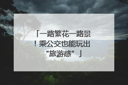一路繁花一路景！乘公交也能玩出“旅游感”