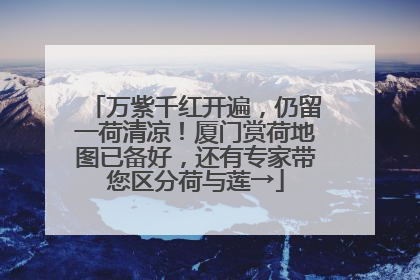 万紫千红开遍，仍留一荷清凉！厦门赏荷地图已备好，还有专家带您区分荷与莲→