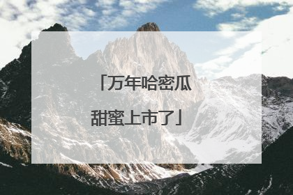 万年哈密瓜甜蜜上市了