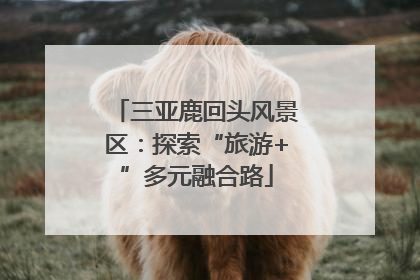 三亚鹿回头风景区：探索“旅游+”多元融合路
