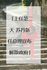 上任第二天 苏丹新任总理宣布解散政府