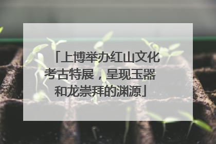 上博举办红山文化考古特展，呈现玉器和龙崇拜的渊源