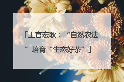 上官宏耿：“自然农法”培育“生态好茶”