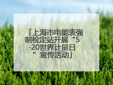 上海市电能表强制检定站开展“5·20世界计量日”宣传活动