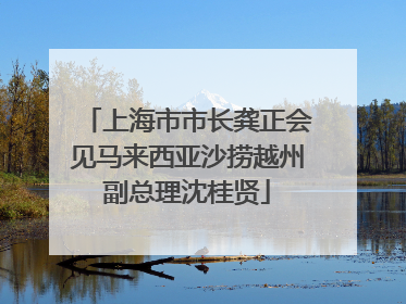 上海市市长龚正会见马来西亚沙捞越州副总理沈桂贤