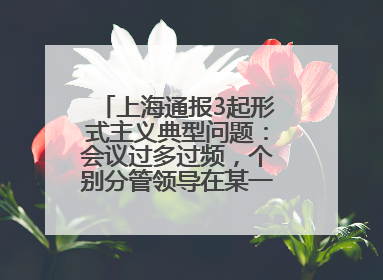 上海通报3起形式主义典型问题：会议过多过频，个别分管领导在某一天同一时段需参加3个会议