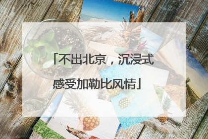 不出北京，沉浸式感受加勒比风情