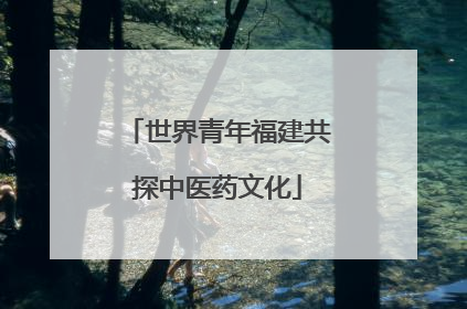世界青年福建共探中医药文化