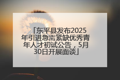 东平县发布2025年引进急需紧缺优秀青年人才初试公告，5月30日开展面谈