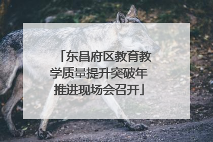 东昌府区教育教学质量提升突破年推进现场会召开