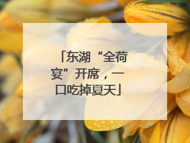 东湖“全荷宴”开席，一口吃掉夏天