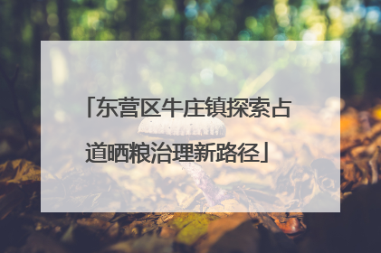 东营区牛庄镇探索占道晒粮治理新路径