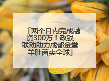 两个月内完成融资300万！政银联动助力成都金堂羊肚菌卖全球