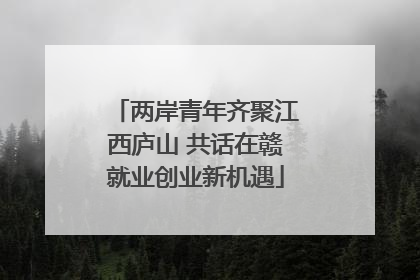 两岸青年齐聚江西庐山 共话在赣就业创业新机遇
