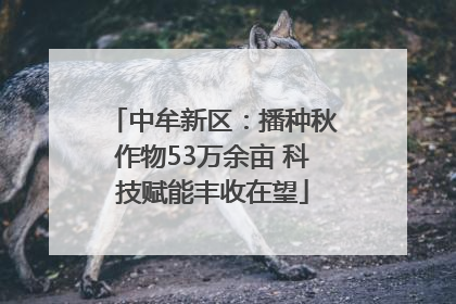 中牟新区：播种秋作物53万余亩 科技赋能丰收在望