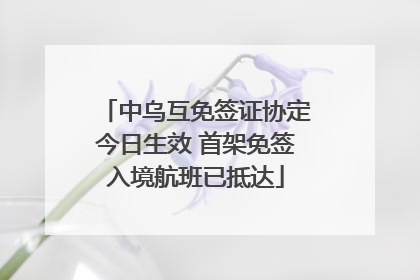 中乌互免签证协定今日生效 首架免签入境航班已抵达