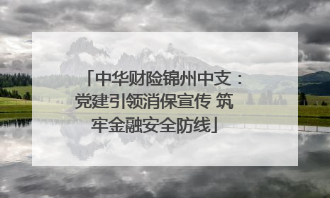 中华财险锦州中支：党建引领消保宣传 筑牢金融安全防线