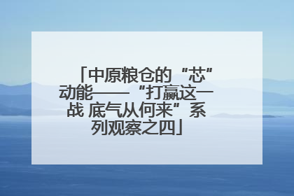 中原粮仓的“芯”动能——“打赢这一战 底气从何来”系列观察之四