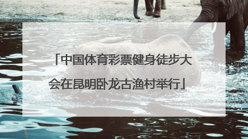中国体育彩票健身徒步大会在昆明卧龙古渔村举行