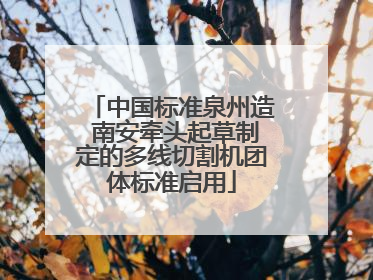 中国标准泉州造 南安牵头起草制定的多线切割机团体标准启用