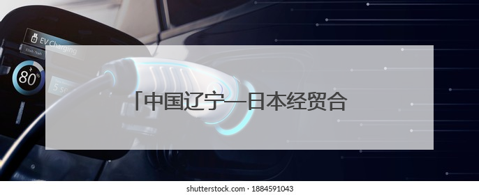 中国辽宁—日本经贸合作说明会在东京举行