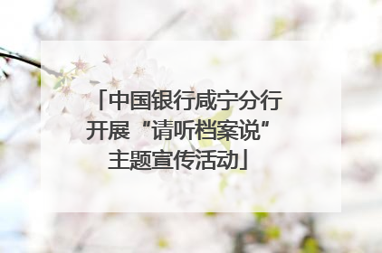 中国银行咸宁分行开展“请听档案说”主题宣传活动