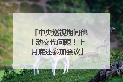 中央巡视期间他主动交代问题！上月底还参加会议