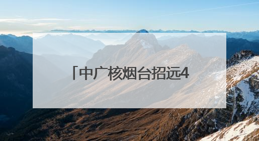 中广核烟台招远400兆瓦海上光伏项目全容量并网发电