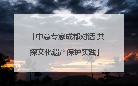 中意专家成都对话 共探文化遗产保护实践