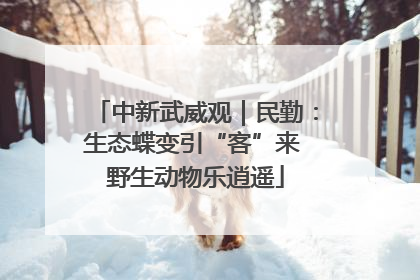 中新武威观｜民勤：生态蝶变引“客”来 野生动物乐逍遥