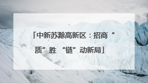 中新苏滁高新区：招商“质”胜 “链”动新局