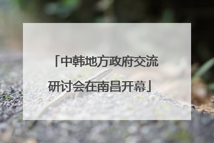 中韩地方政府交流研讨会在南昌开幕