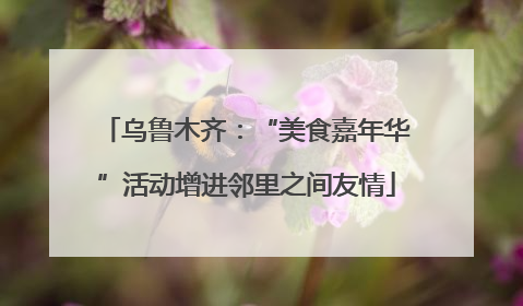乌鲁木齐：“美食嘉年华”活动增进邻里之间友情
