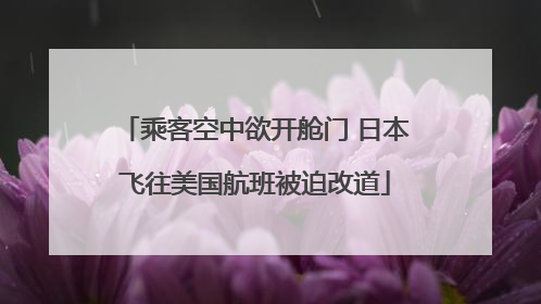 乘客空中欲开舱门 日本飞往美国航班被迫改道