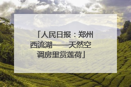 人民日报：郑州西流湖——天然空调房里赏莲荷