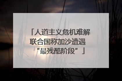 人道主义危机难解 联合国称加沙遭遇“最残酷阶段”