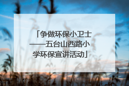 争做环保小卫士——五台山西路小学环保宣讲活动