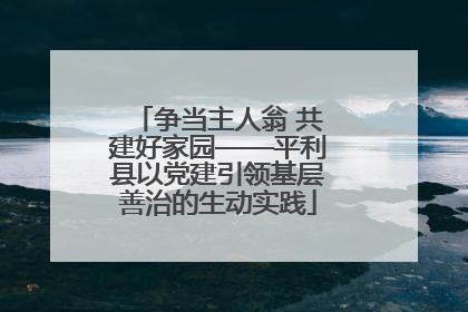 争当主人翁 共建好家园——平利县以党建引领基层善治的生动实践