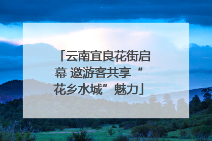 云南宜良花街启幕 邀游客共享“花乡水城”魅力