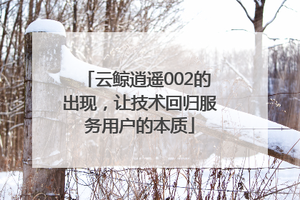 云鲸逍遥002的出现，让技术回归服务用户的本质