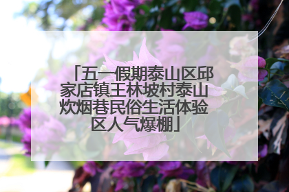 五一假期泰山区邱家店镇王林坡村泰山炊烟巷民俗生活体验区人气爆棚
