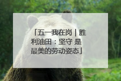 五一我在岗｜胜利油田：坚守 是最美的劳动姿态