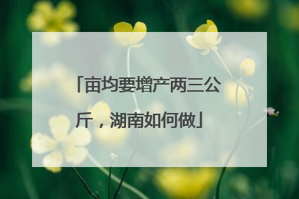 亩均要增产两三公斤，湖南如何做